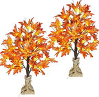 2 Pack 24 Inch Fall Lighted Maple Tree with 72 LEDs, 144 Leaves, 12 Acorns, Timer Battery Operated, 2Ft Thanksgiving Decorations Table Lights Tree for Autumn Wedding Party Gift Indoor Harvest Home by TiYiViRi
