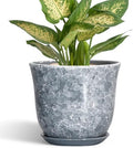Ceramic Planter, 6 Inch Plant Pot for Indoor Plants, Grey by SUNPOTFOR