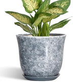 Ceramic Planter, 6 Inch Plant Pot for Indoor Plants, Grey by SUNPOTFOR