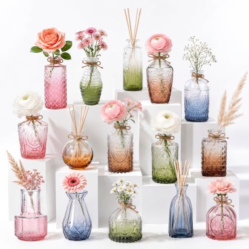 15Pack Colorful Glass Bud Vases,Bulk Mini Small Colored Vintage Vases by Unknown