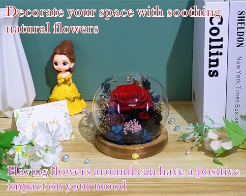 Long-Lasting Real Flowers - Unique Floral Gift For You To Send Love - Image 5