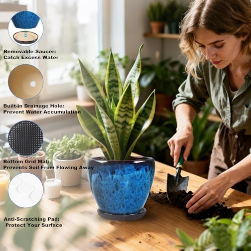 Ceramic Plant Pots With Saucer & Drainage Hole, 8 inch Indoor Flower Pots - Image 5