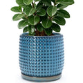 D'vine Dev Beaded Ceramic Pot with Saucer, 8 in, Ocean Teal, 27-C-Q-8 by DvineDevPlanterPotsandStand