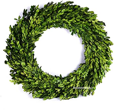 Boxwood Wreath Large 17 inch Preserved Nature Real Boxwood Wreath Home Decor Stay Fresh for Years Wreath for Christmas Thanksgiving Wedding Party Home Indoor Decor by BOXWOODWORLD