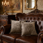Luxurious Velvet Throw Pillow Covers 20x20 Set of 2 Decorative Pillow Covers Solid Square Cushion Case for Sofa Couch Bedroom Farmhouse, Brown - Image 4