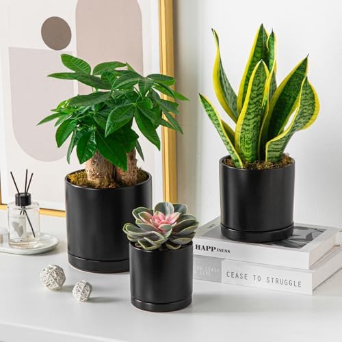 vancasso Ceramic Plant Pots, 3 Piece Planters for Indoor Plants, Black - Image 6