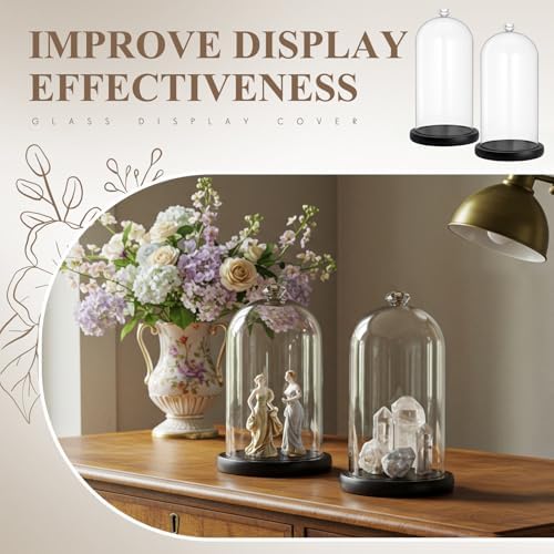 Suclain 2 Pcs 6 x 10 Inch Cloche Glass Dome with Base Bell Jar, Black - Image 4