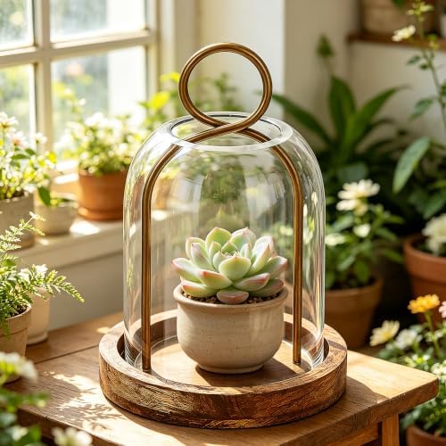 7.5" High Versatile Vintage Brass Metal Candle Holder with Handmade Sturdy Glass Dome and Natural Wooden Base for Pillar Candle & Plants, Industrial, Farmhouse, Shabby Chic, Display Cloche Bell Jars - Image 5