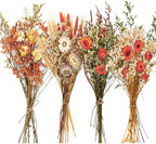 Layhit 4 Pack Large Size Boho Dried Flowers 15-17 Inch, Gerbera Daisy by ShungLan