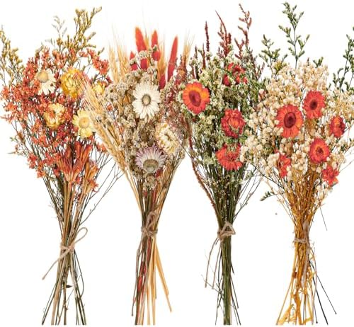 Layhit 4 Pack Large Size Boho Dried Flowers 15-17 Inch, Gerbera Daisy by ShungLan