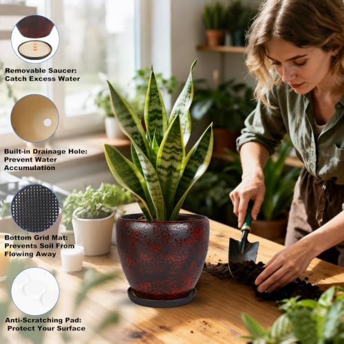 Ceramic Plant Pots With Saucer & Drainage Hole, 10 inch Indoor Flower Pots - Image 4