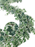 ucky Ivy Vines 71 Inch 4 Pcs Artificial Plant Silk Fake for Wall Hanging Decor Greenery Ceiling Decor Home Decor Outdoor Decor Wedding Decoration Vines Aesthetic Room Decor （White） by ucky