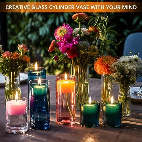 24 Pack Glass Cylinder Vases 4,6,8,10 Inch Tall Clear Flower Vase Hurricane Floating Candle Holder for Table Centerpiece Wedding Home Decor - Image 4