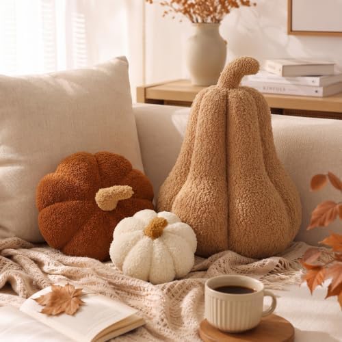 Beeveer 3 Pcs Fall Thanksgiving Pumpkin Pillows,Rust & Cream by Beeveer