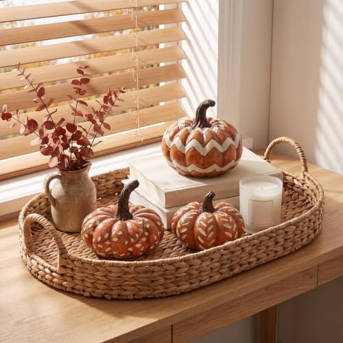 Briful 3-Piece Fall Resin Pumpkin Set, Rustic Autumn Home Decoration by Briful