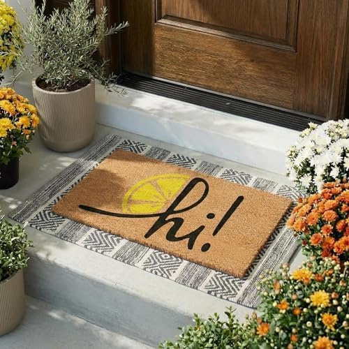 THEODORE MAGNUS Door Mat - Welcome Mat for Front Door with Non-Slip Backing - Durable Spring & Summer Doormat - Perfect for Outside Entrance Matt - Outdoor/Indoor - Zesty hi! - 17" x 30" - Image 2