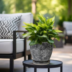 Ceraimc Planter - 8 Inch Plant Pot for Indoor Outdoor Plants, Decorative Round Planters, Flower Pot with Drainage and Saucer, Garden Porch House Room Decor, Plant Lover Gifts, Grey - Image 4
