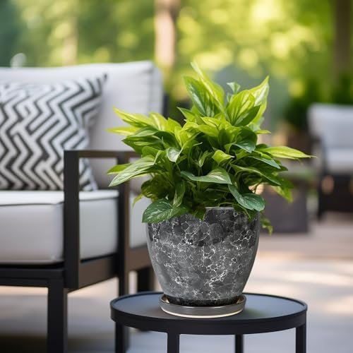 Ceraimc Planter - 8 Inch Plant Pot for Indoor Outdoor Plants, Decorative Round Planters, Flower Pot with Drainage and Saucer, Garden Porch House Room Decor, Plant Lover Gifts, Grey - Image 4