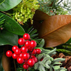 Balsam Hill Outdoor Magnolia Ridge 28" Christmas Wreath - Holiday Elegance Front Door Wreath with Magnolia Leaves, Succulents & Battery-Operated LED Clear Lights - Image 7