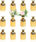 Small Gold Bud Vases, Set of 12 by Scawim
