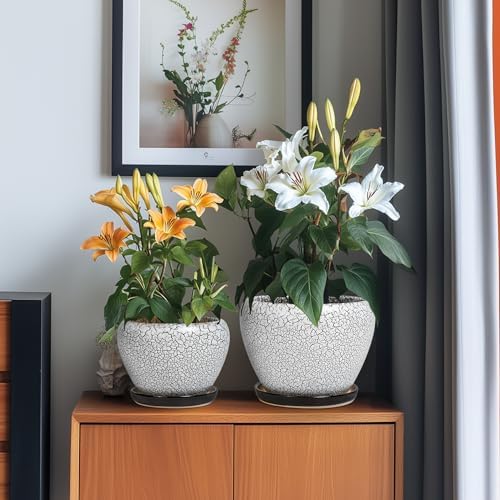 Ceramic Plant Pots, 10+8+6 Inch Flower Pot Indoor, White-Black - Image 4