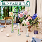 Lallisa 6 Pcs Glass Bud Vases for Centerpieces Maria Modern Clear Small Skinny Decorative Single Flower Bud Vase for Wedding Party Event Home Office Decoration(7.87 Inch,Transparent Color) - Image 6