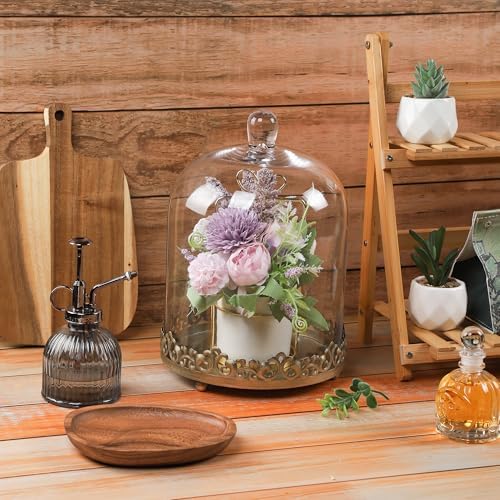 12" Tall Large Sturdy Handmade Glass Cloche Dome with Metal Base 11.4" H x 8" and 8" H x 5.5" in Set of 2 in Gold for Plant, Terrarium, Collectibles, Candle. Cloche Glass Dome, Bell Jar Display Case - Image 6
