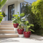 Ceramic Pots for Plants - 10 Inch 8 Inch 6 Inch Plant Pots with Drainage Holes and Saucers Large Planters for Indoor Plants Decorative Outdoor Flower Pots Set of 3 Red - Image 5