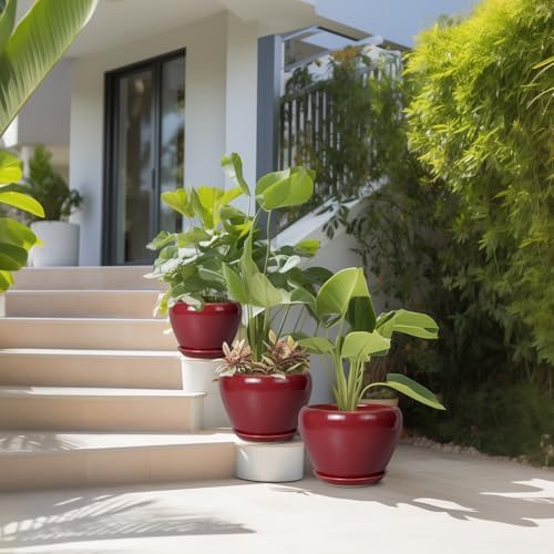 Ceramic Pots for Plants - 10 Inch 8 Inch 6 Inch Plant Pots with Drainage Holes and Saucers Large Planters for Indoor Plants Decorative Outdoor Flower Pots Set of 3 Red - Image 5