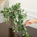 Factory Direct Craft Artificial Wandering Jew Bush with Blooms A Fake Vine Houseplant that Requires No Care (Size: 26" L) - Image 4