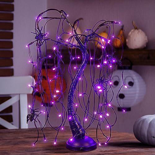 24Inch Halloween Lighted Willow Tree Bonsai Light 80 Purple LED Lights Table Top Lamp Artificial Tree Desk Decor with 4 Spiders Adapter Plug in/Battery Powered for Christmas Nativity Decoration by SPIRITSTARCHRISTMASCENTER