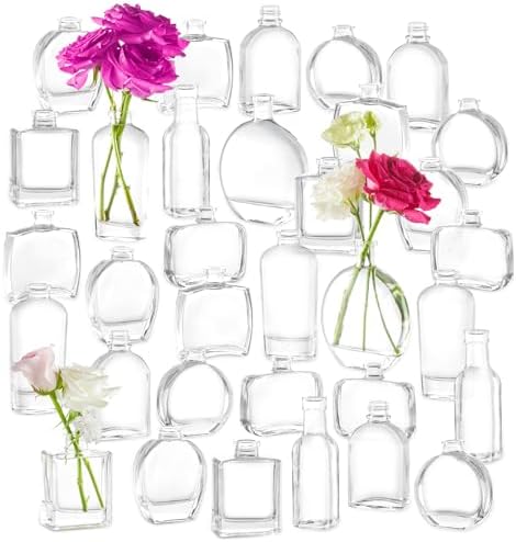 33pcs Glass Small Bud Vases Set - 9 Styles Clear Bud Vase by DOLEEYAE