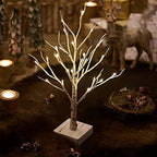 Hairui Pre-lit Tabletop Birch Tree with Timer 24LED 18IN Battery Operated for Christmas Father's Day Party Decoration 2 Sets - Image 6