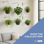 Ilyapa 4 Pack Metal Matte Black Plant Wall Hanger Hooks, 7 Inch - Image 6