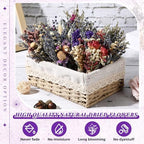 Layhit 24 Pcs Mini Dried Flower Bouquets Boho for Vase, Lavender - Image 4