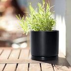 D'vine Dev 3-Pack Black Terracotta Pots & Saucers, 4/5/6 in, 40-T-A-2 - Image 5