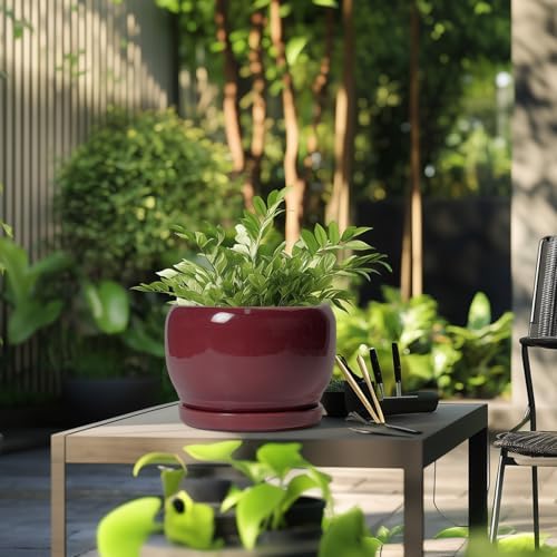SQOWL Ceramic Pot for Plants - 10 Inch Indoor Planter with Drainage Hole and Saucer, Round Modern Planter Outdoor, Decorative Large Plant Pot for Flower, Living Room Decor, Garden Gifts, Red - Image 5