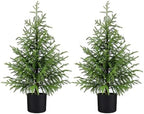 3FT Small Norfolk Pine Christmas Trees, 2-Pack Potted, Unlit by ENVEN