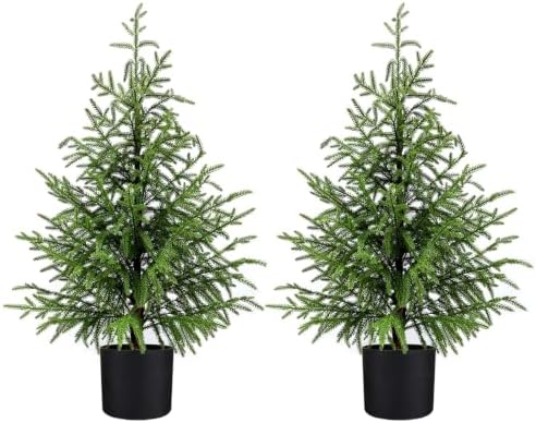 3FT Small Norfolk Pine Christmas Trees, 2-Pack Potted, Unlit by ENVEN