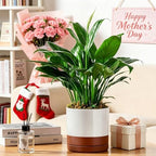 vancasso Ceramic Plant Pots, 3 Piece Planters for Indoor Plants, Khaki - Image 5