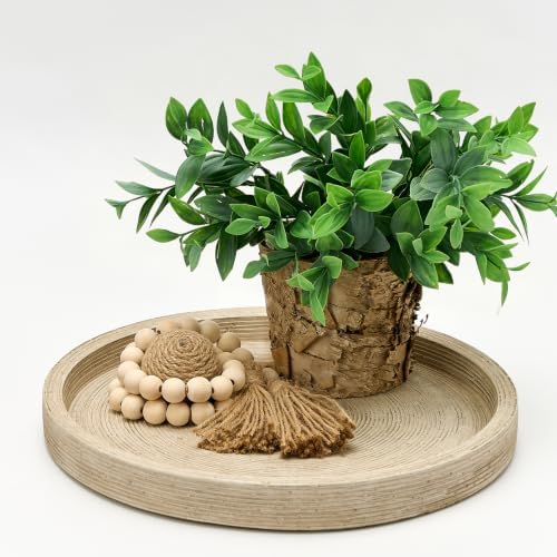 Vanselia Decorative Table Tray Round Trays Home Decor Cement (11.8" Retro) - Image 7