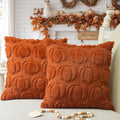 GEEORY Rust Fall Pumpkin Throw Pillow Covers, 26x26 Inch (Set of 2), Soft Faux Fur Wool, Farmhouse Style for Autumn Home Sofa Decor GC019-26 by GEEORY