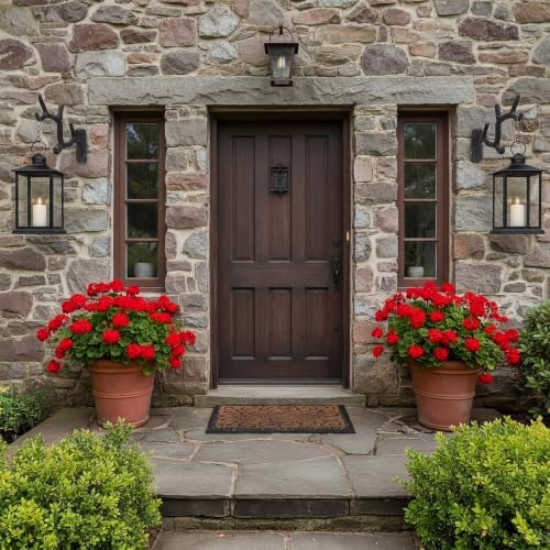 Blulu 6 Pcs Cast Iron Plant Hanger Wall Bracket Tree Branch, Black - Image 6
