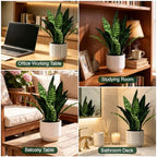 Fake Snake-19”tall Artificial Indoor Potted Plant for Home Decor-Green - Image 7