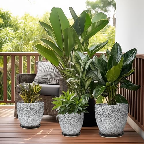 Ceraimc Plant Pot - 8 Inch Planter with Drainage and Saucer, Modern Round Planter, Flower Pot for Indoor Outdoor Plants, Home Room Garden Apartment Decor, Gifts for Plant Lovers, White-Black - Image 5