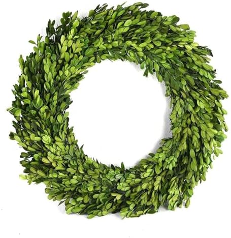 Boxwood Wreath 12 inch Preserved Nature Boxwood Wreath Home Decor Stay Fresh for Years for Door Wall Window Party Décor Spring Summer Fresh Green Wreath by BOXWOODWORLD