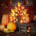 24 Inch Fall Lighted Maple Tree, 2FT Fall Tree with 36 LEDs, 6 Acorns, Timer Battery Operated, Thanksgiving Decorations Table Lights Tree for Autumn Wedding Party Gift Harvest Home - Image 6