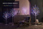 LITBLOOM Lighted Birch Garland Battery Operated with 8 Functions 48 Multi-Color and Warm White Lights, Pre-lit Twig Vine Lights 6FT for Home Bedroom Wall Mantle Decoration - Image 5