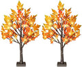24 Inch Fall Lighted Maple Tree, 2FT Fall Tree with 36 LEDs, 6 Acorns, Timer Battery Operated, Thanksgiving Decorations Table Lights Tree for Autumn Wedding Party Gift Harvest Home by TiYiViRi