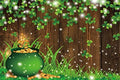 St Patricks Day Backdrop Ireland Green Shamrocks Gold Coins Decorations Background Brown Wooden Board Irish Clover Baby Shower Background Birthday Party Banner Studio Props 7x7ft by Pnylzzyxh